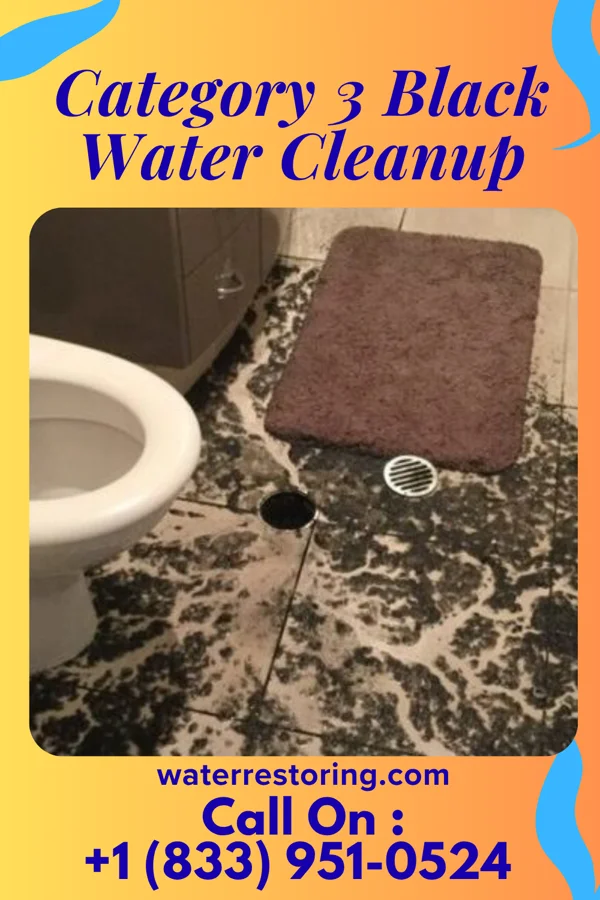 Category 3 Black Water Cleanup in Powderly, KY