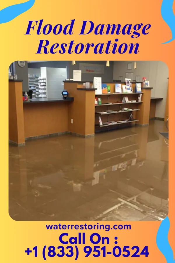 Flood Damage Restoration in Powderly, KY