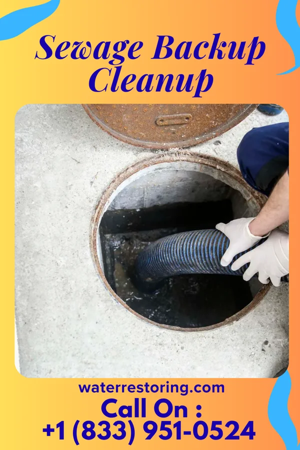 Sewage Backup Cleanup in Powderly, KY