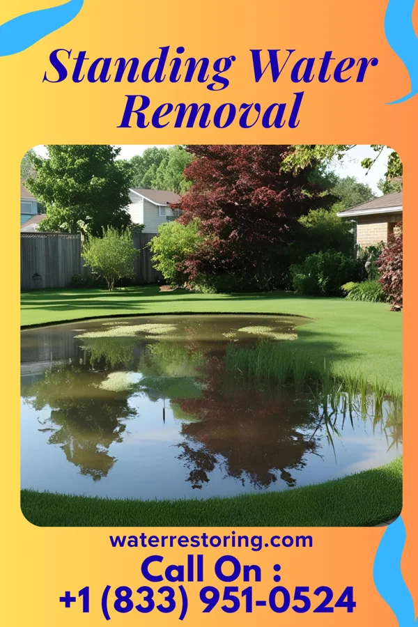 Standing Water Removal in Powderly, KY